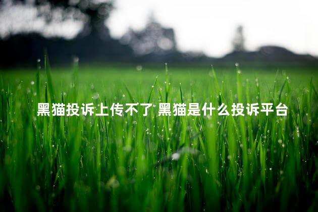 黑猫投诉上传不了 黑猫是什么投诉平台
